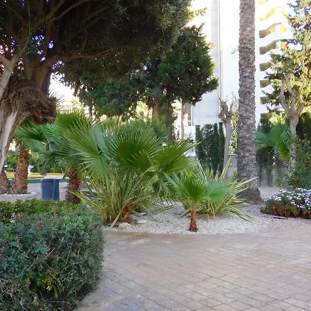 Apartment Los Gemelos-4 *